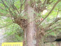 -大慈岩风景区