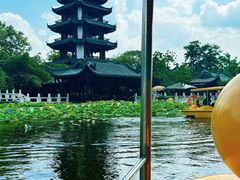-桂湖森林公园