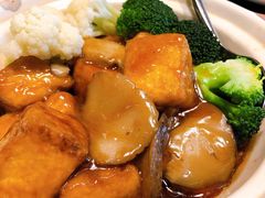 日式花菇豆腐煲-T館·花园艺术餐厅