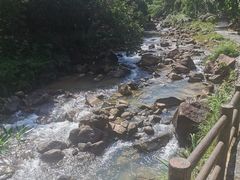 -广州白江湖森林公园