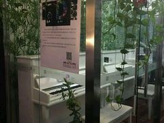 -圣典成人钢琴俱乐部(国贸旗舰校区)