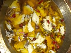 -雲蜀龙阁·金牌水煮鱼(方庄店)