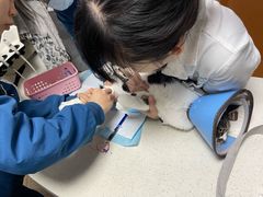 -联合动物医院(光谷诊疗中心)