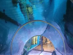 -瑞德姆美人鱼海底演艺主题餐厅(亚龙湾店)