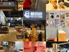 -藏猫猫咖啡主题馆(中央大道店)