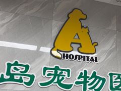 -半岛宠物医院24小时(白果林店)