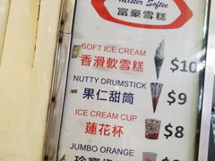 -富豪雪糕车流动点(尖沙咀店)