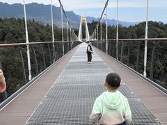 -中国大熊猫保护研究中心雅安碧峰峡基地