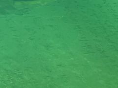-白鹤梁水下博物馆