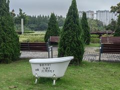 -澹台湖公园