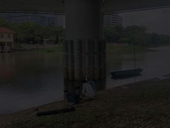 -怡海公园(桂城街道)