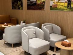 -XPEL旗舰店·汽车贴膜·隐形车衣·改色贴膜