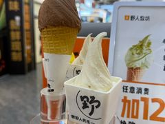 -野人先生现做冰淇淋(西安赛格店)