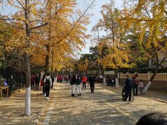 -八大关景区