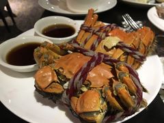 -339旋转餐厅(天府熊猫塔店)