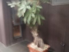 -阿伟海鲜楼·福建菜(涵江店)