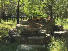 -秦皇岛野生动物园