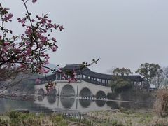 -蠡湖中央公园