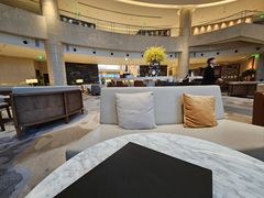-Plush大堂酒廊(北京金融街威斯汀大酒店)