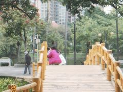 -晓港公园