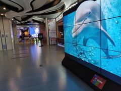-卢米埃影城(长楹天街IMAX激光店)