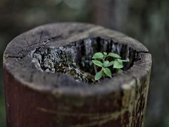 -苏州环秀晓筑养生度假村