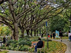 -新南门(地铁站)