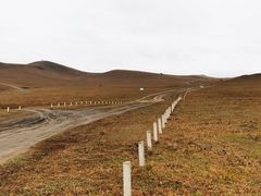 -塞罕坝国家级自然保护区