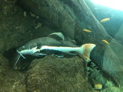 -福州罗源湾海洋世界旅游区