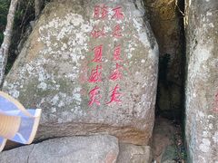 -亚龙湾热带天堂森林公园