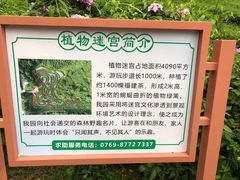 -大屏嶂森林公园
