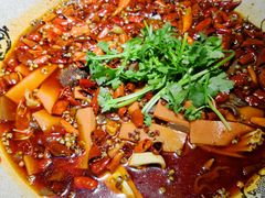 -陈麻婆豆腐总店