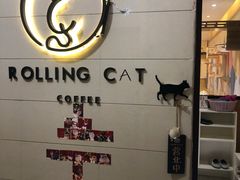 -滚猫咖啡·猫咖·猫友好撸猫(未来城店)