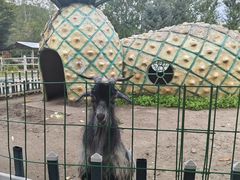 -哈尔滨北方森林动物园