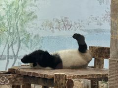 -无锡动物园·太湖欢乐园