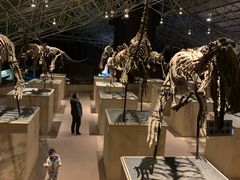 -世界恐龙谷景区