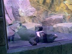 -波塞冬海底世界