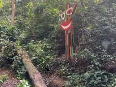 -西双版纳原始森林公园