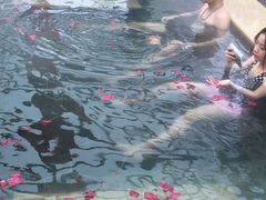 -苏州湾王焰温泉度假酒店
