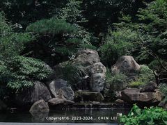 -新荣记(西溪湿地店)