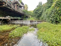 -东海大峡谷