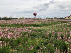 -歌斐颂巧克力小镇