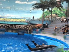 -海合安成都极地海洋公园