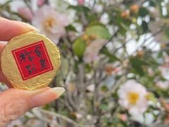 -龙华寺