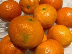 -唐猫庭院·千年陕菜(大唐不夜城店)