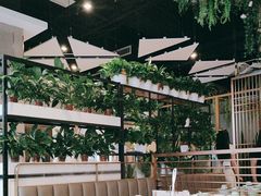 -四季合味椰子鸡(南山大冲店)