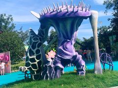 -苏州乐园森林水世界