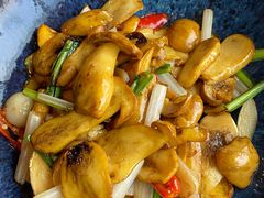 野芫荽炒牛肝菌-半山腰·云南菜(侨福芳草地店)