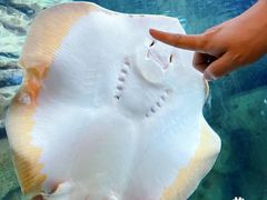 -珠海长隆海洋王国