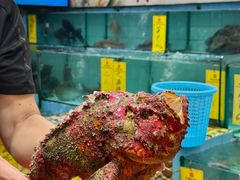 -有腥气私房菜·寻味顺德